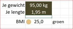 verkeerslicht.webp verkeerslicht.webp