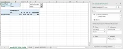 Draaitabel via code aangemaakt.webp