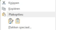 Excel dropdown kopieren plakken.webp