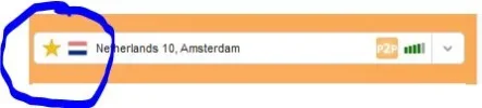 VPN van Goose.webp