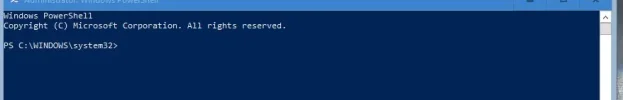 shell.webp