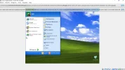 xp1[1].webp