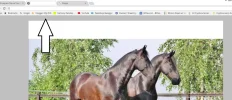 voorbeelds.webp