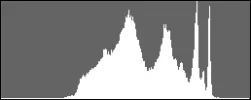histogram.webp
