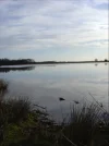 watertje.webp