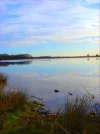 watertje a.webp