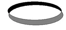 Ring.webp