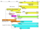633px-Unix_timeline.en.webp