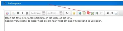 FT.webp
