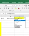 excel probleem.webp