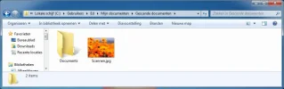 Verkenner.webp