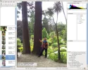 Screenshot_Geeqie_1.0.webp Screenshot_Geeqie_1.0.webp