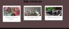 voucher21.jpg voucher21.jpg
