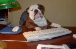 Bureaublaf.webp