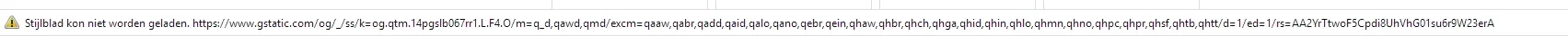 google stijlblad.webp