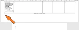 Sectie.webp