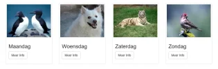 datum_thumbs.webp