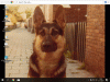 Naamloos.gif