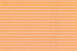 oranjevlak.webp oranjevlak.webp