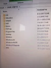 windowsold.webp