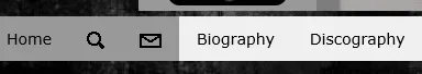 website-IE.webp