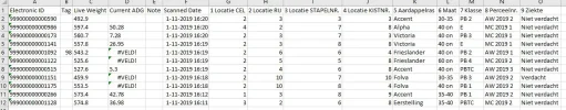3.webp