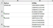 Voorbeeld Alt+enter - Excel.webp Voorbeeld Alt+enter - Excel.webp