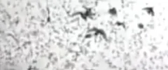 Schermafbeelding 2020-02-09 om 10.50.41.webp