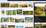 fien fleur 1.webp fien fleur 1.webp