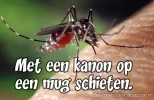 Met-een-kanon-op-een-mug-schieten-768x500.webp