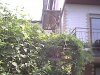 Xnview image 11.jpg