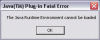 Java(TM) Plug-in Fatal Error.gif