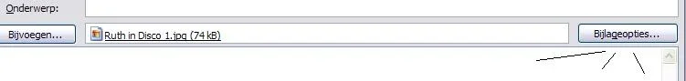Afb 1.webp
