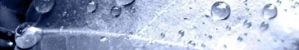 Banner.webp