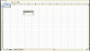 screen excel.gif