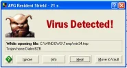virus detectie2.webp