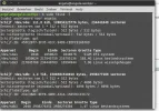 Screenshot_20200327_195011.webp