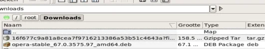 roots-download.webp