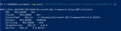 NetFrameWork.webp