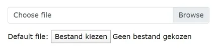 input-type-file.webp