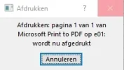 Screen Shot 221.webp