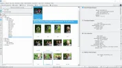 Digikam 6.4.0 2020-08-01 115607.webp