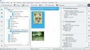 digiKam 7.0.0 2020-08-01 115607.webp