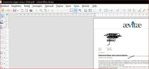 a2.webp
