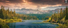 BB.webp BB.webp