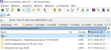 dia 5.webp