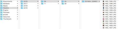 9641CF6B-AA94-408C-A52D-B99720CE389C.webp 9641CF6B-AA94-408C-A52D-B99720CE389C.webp