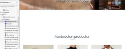 11.webp