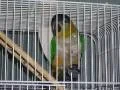 FIL5068.webp