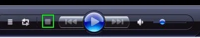 WMP11.webp